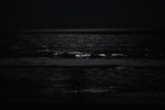 Moonlit Beach
