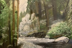 Tenaya Creek