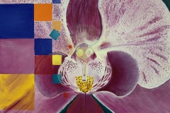 Phalaenopsis Squared